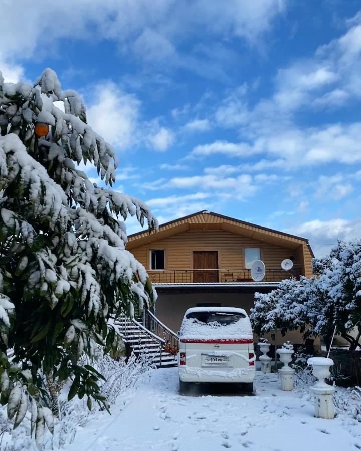 Гостевой Дом Сюзанна Hotel Gagra Exterior photo